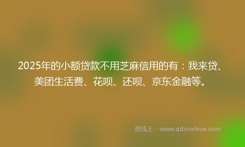 2025年的小额贷款不用芝麻信用的有：我来贷、美团生活费、花呗、还呗、京东金融等。