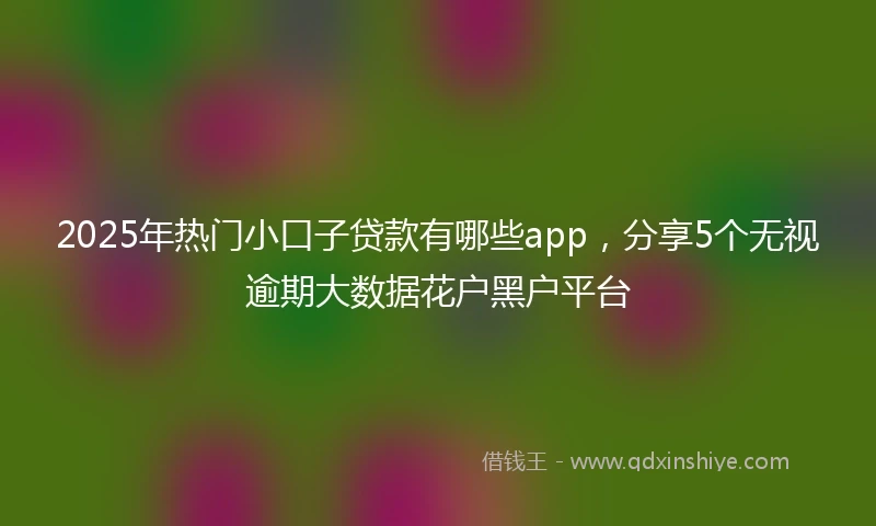 2025年热门小口子贷款有哪些app，分享5个无视逾期大数据花户黑户平台
