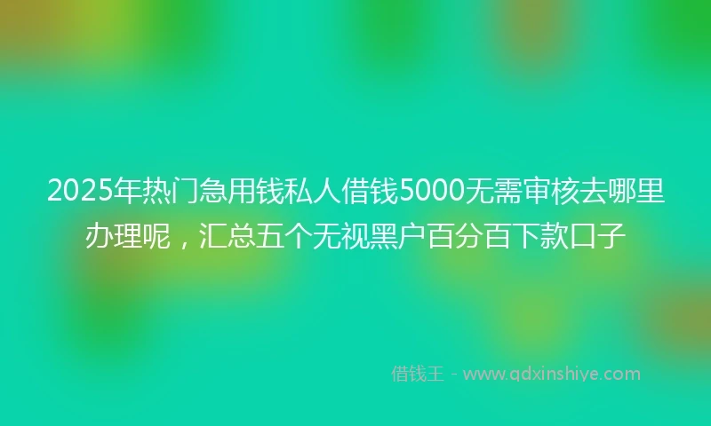 2025年热门急用钱私人借钱5000无需审核去哪里办理呢，汇总五个无视黑户百分百下款口子