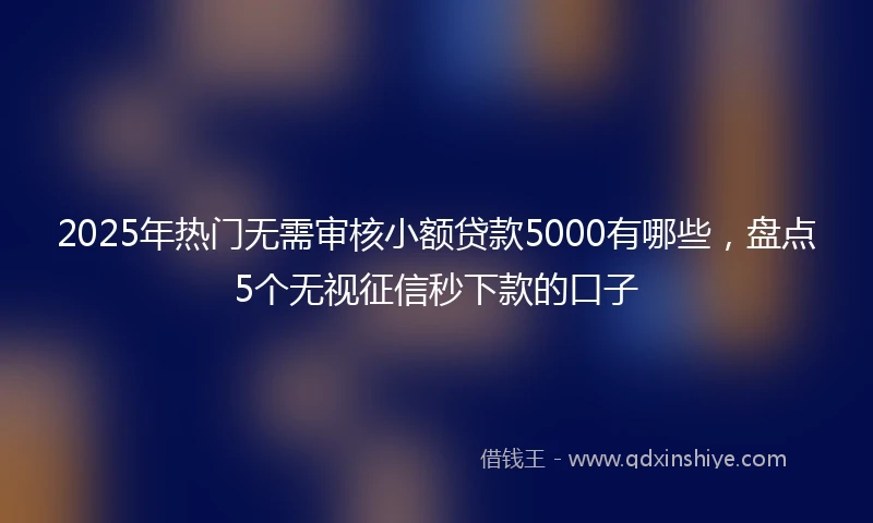 2025年热门无需审核小额贷款5000有哪些，盘点5个无视征信秒下款的口子