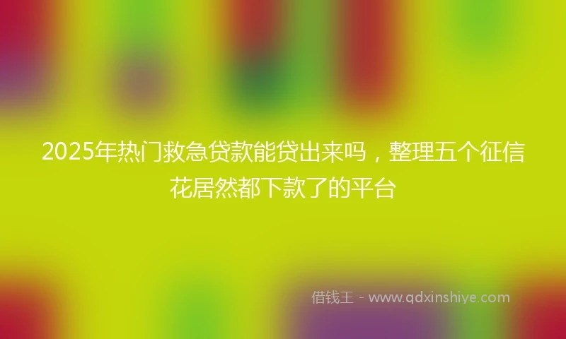 2025年热门救急贷款能贷出来吗，整理五个征信花居然都下款了的平台
