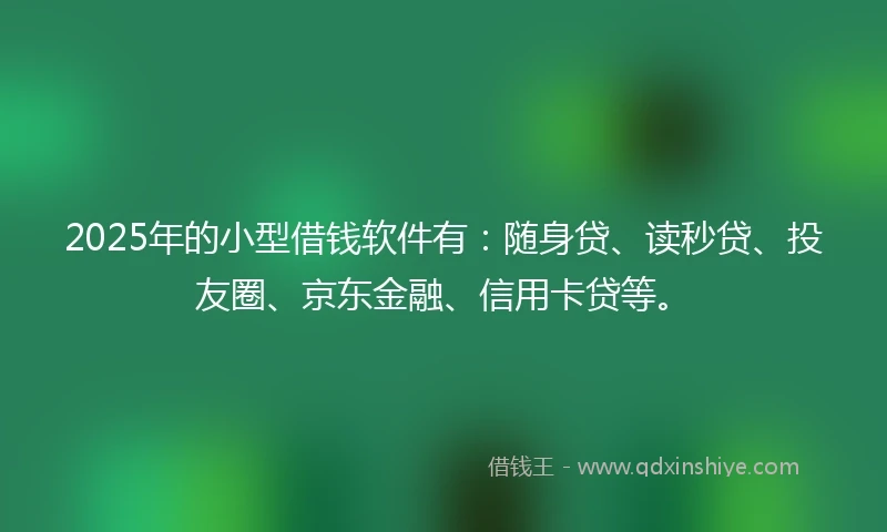 2025年的小型借钱软件有：随身贷、读秒贷、投友圈、京东金融、信用卡贷等。