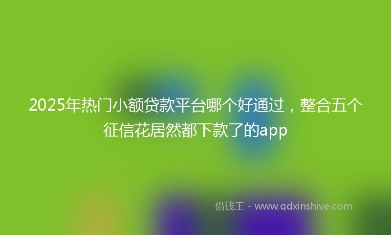 2025年热门小额贷款平台哪个好通过，整合五个征信花居然都下款了的app