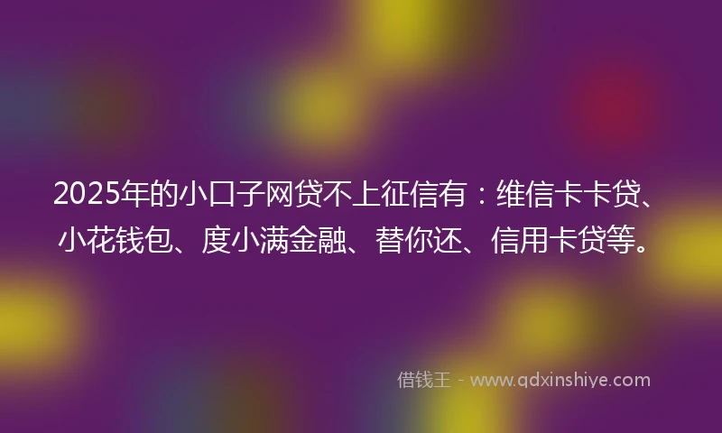 2025年的小口子网贷不上征信有：维信卡卡贷、小花钱包、度小满金融、替你还、信用卡贷等。