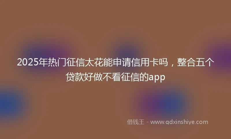 2025年热门征信太花能申请信用卡吗，整合五个贷款好做不看征信的app