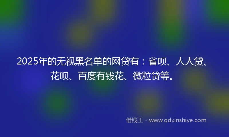 2025年的无视黑名单的网贷有：省呗、人人贷、花呗、百度有钱花、微粒贷等。