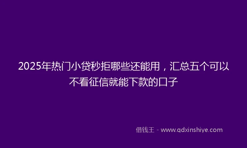 2025年热门小贷秒拒哪些还能用，汇总五个可以不看征信就能下款的口子