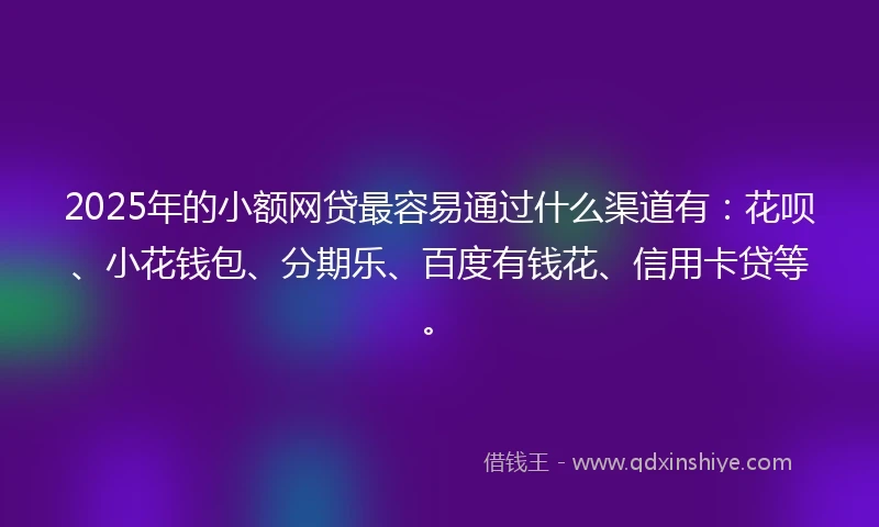 2025年的小额网贷最容易通过什么渠道有：花呗、小花钱包、分期乐、百度有钱花、信用卡贷等。