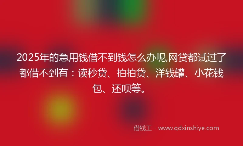 2025年的急用钱借不到钱怎么办呢,网贷都试过了都借不到有：读秒贷、拍拍贷、洋钱罐、小花钱包、还呗等。