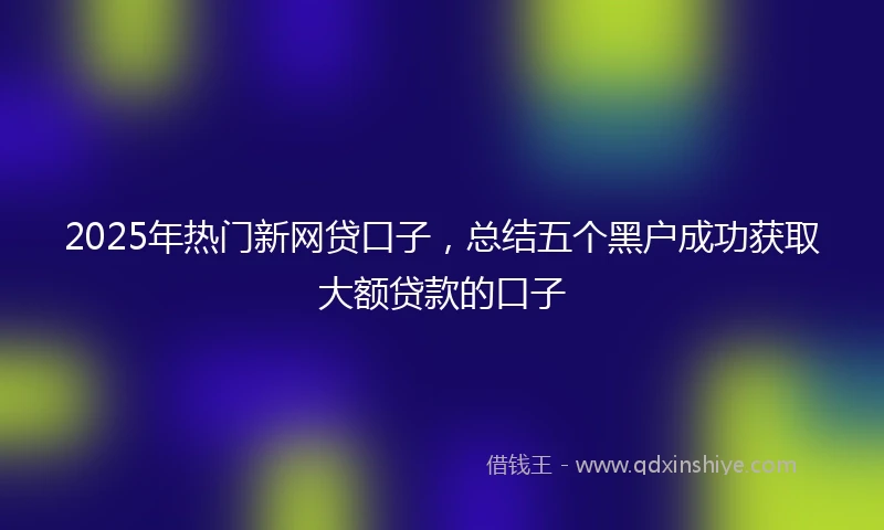 2025年热门新网贷口子，总结五个黑户成功获取大额贷款的口子