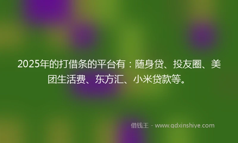 2025年的打借条的平台有：随身贷、投友圈、美团生活费、东方汇、小米贷款等。