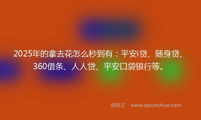 2025年的拿去花怎么秒到有：平安i贷、随身贷、360借条、人人贷、平安口袋银行等。