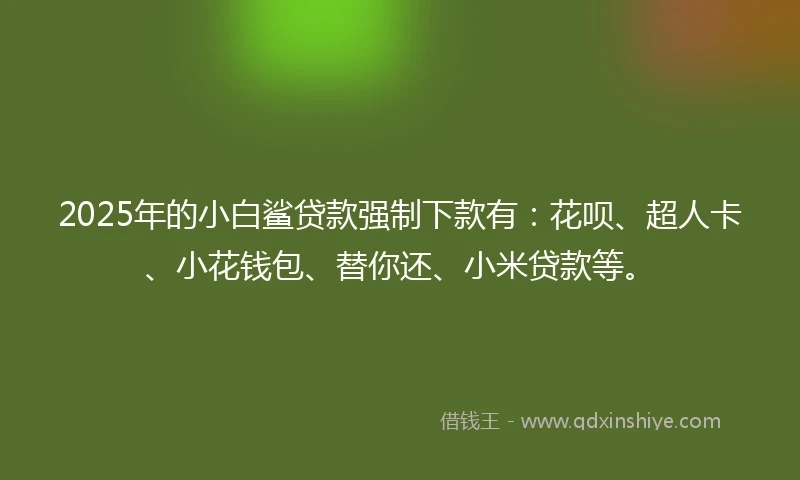2025年的小白鲨贷款强制下款有：花呗、超人卡、小花钱包、替你还、小米贷款等。