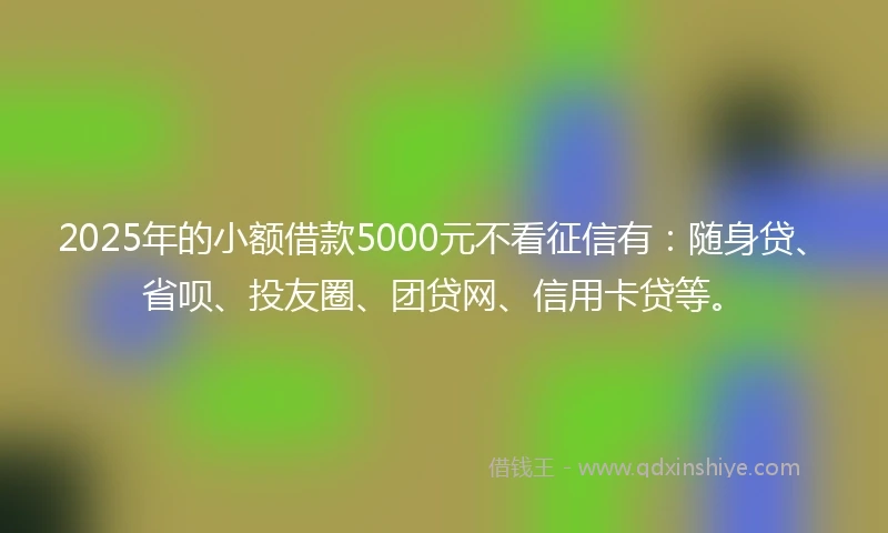 2025年的小额借款5000元不看征信有：随身贷、省呗、投友圈、团贷网、信用卡贷等。