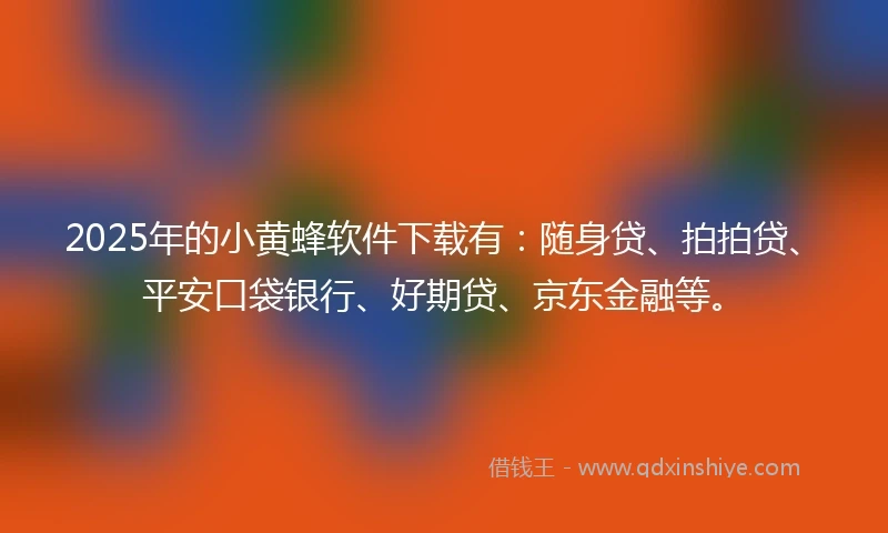 2025年的小黄蜂软件下载有：随身贷、拍拍贷、平安口袋银行、好期贷、京东金融等。