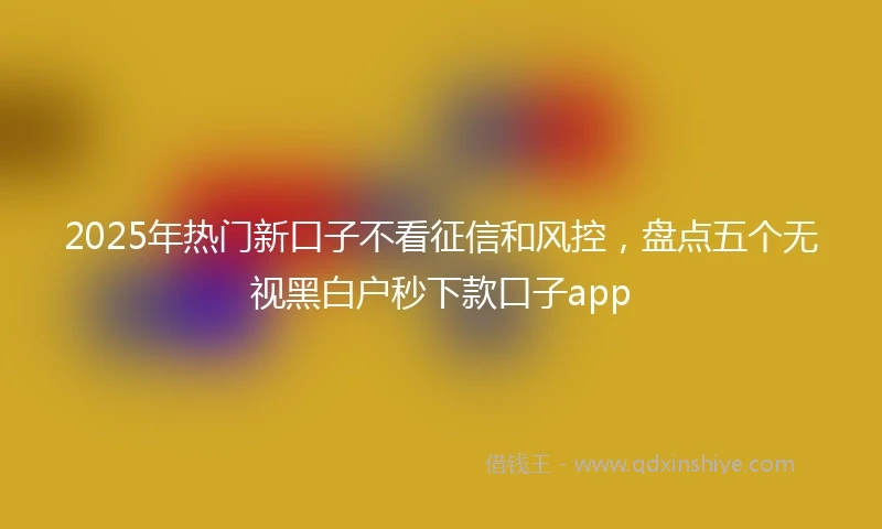 2025年热门新口子不看征信和风控，盘点五个无视黑白户秒下款口子app