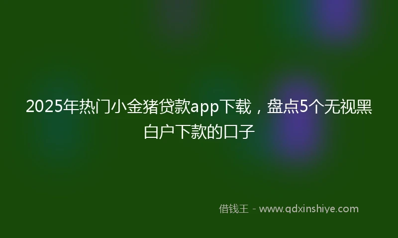 2025年热门小金猪贷款app下载，盘点5个无视黑白户下款的口子
