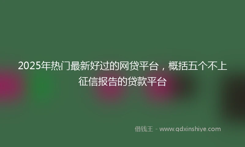 2025年热门最新好过的网贷平台，概括五个不上征信报告的贷款平台