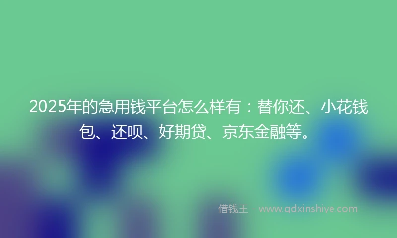 2025年的急用钱平台怎么样有：替你还、小花钱包、还呗、好期贷、京东金融等。