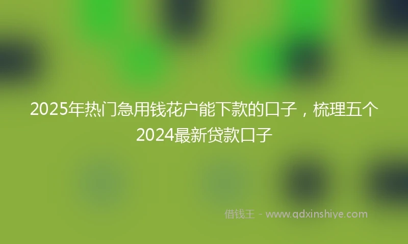 2025年热门急用钱花户能下款的口子，梳理五个2024最新贷款口子