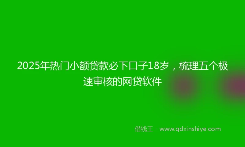 2025年热门小额贷款必下口子18岁，梳理五个极速审核的网贷软件