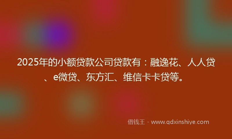 2025年的小额贷款公司贷款有：融逸花、人人贷、e微贷、东方汇、维信卡卡贷等。
