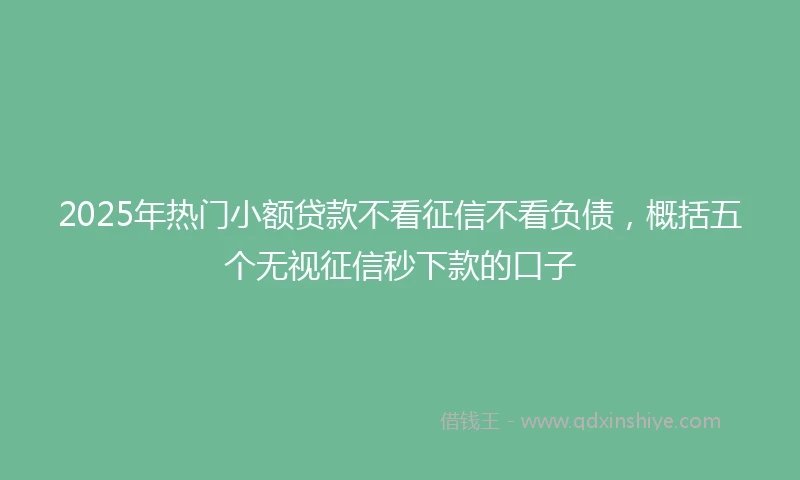 2025年热门小额贷款不看征信不看负债，概括五个无视征信秒下款的口子