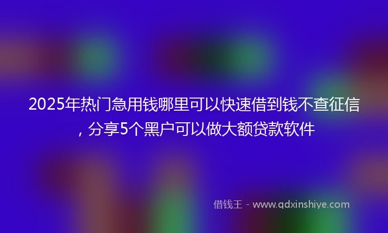 2025年热门急用钱哪里可以快速借到钱不查征信，分享5个黑户可以做大额贷款软件