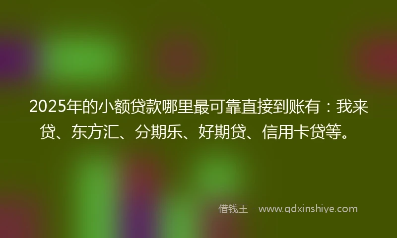 2025年的小额贷款哪里最可靠直接到账有：我来贷、东方汇、分期乐、好期贷、信用卡贷等。