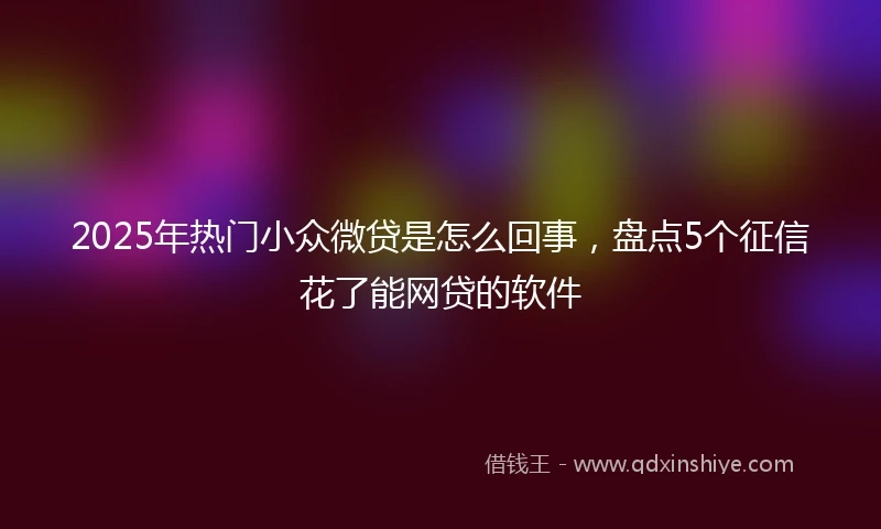 2025年热门小众微贷是怎么回事，盘点5个征信花了能网贷的软件