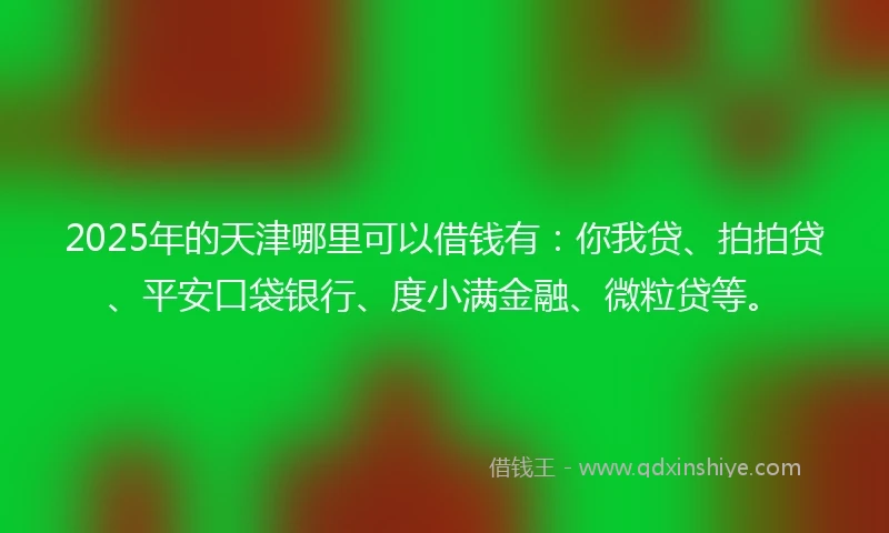 2025年的天津哪里可以借钱有：你我贷、拍拍贷、平安口袋银行、度小满金融、微粒贷等。
