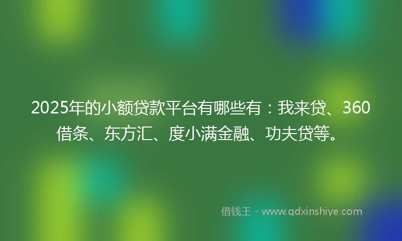 2025年的小额贷款平台有哪些有：我来贷、360借条、东方汇、度小满金融、功夫贷等。