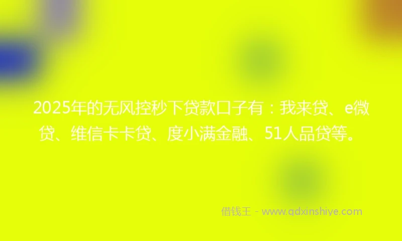 2025年的无风控秒下贷款口子有：我来贷、e微贷、维信卡卡贷、度小满金融、51人品贷等。