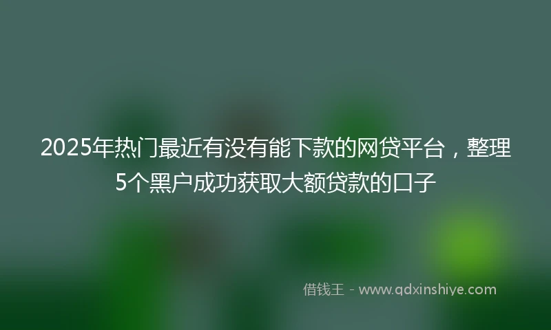 2025年热门最近有没有能下款的网贷平台，整理5个黑户成功获取大额贷款的口子