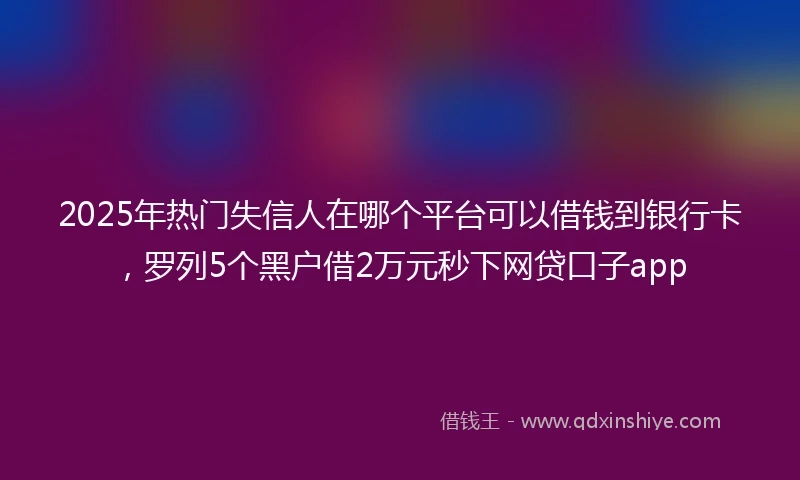 2025年热门失信人在哪个平台可以借钱到银行卡，罗列5个黑户借2万元秒下网贷口子app