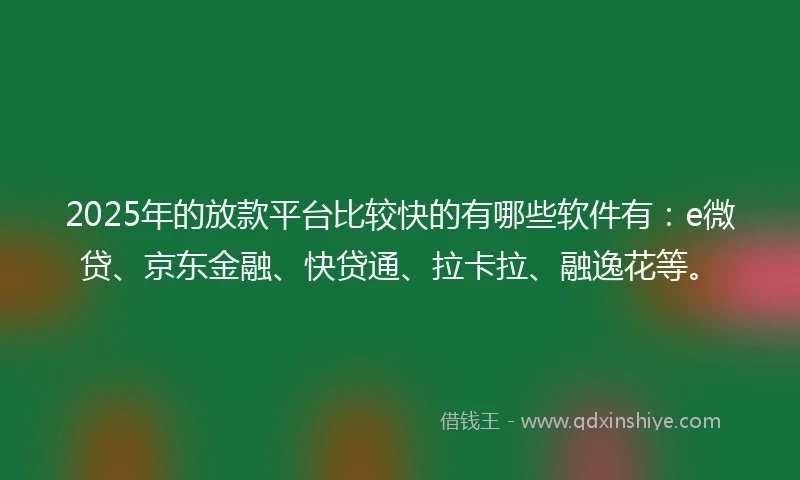 2025年的放款平台比较快的有哪些软件有：e微贷、京东金融、快贷通、拉卡拉、融逸花等。