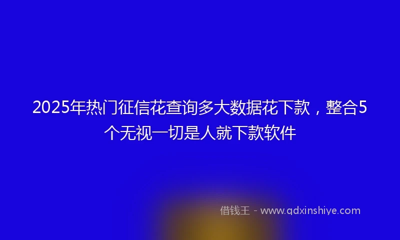 2025年热门征信花查询多大数据花下款，整合5个无视一切是人就下款软件