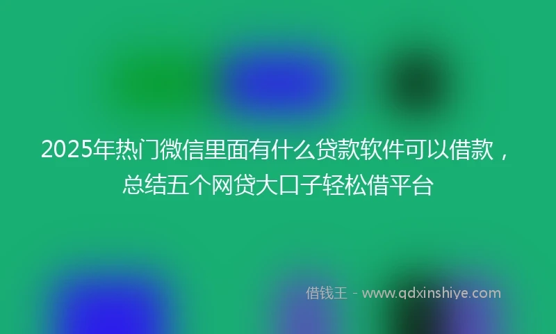 2025年热门微信里面有什么贷款软件可以借款，总结五个网贷大口子轻松借平台