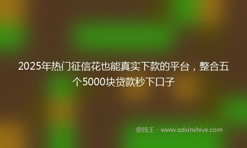 2025年热门征信花也能真实下款的平台，整合五个5000块贷款秒下口子
