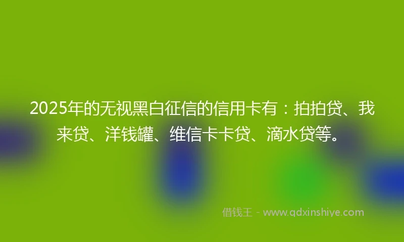 2025年的无视黑白征信的信用卡有：拍拍贷、我来贷、洋钱罐、维信卡卡贷、滴水贷等。