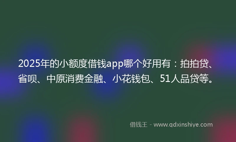 2025年的小额度借钱app哪个好用有：拍拍贷、省呗、中原消费金融、小花钱包、51人品贷等。