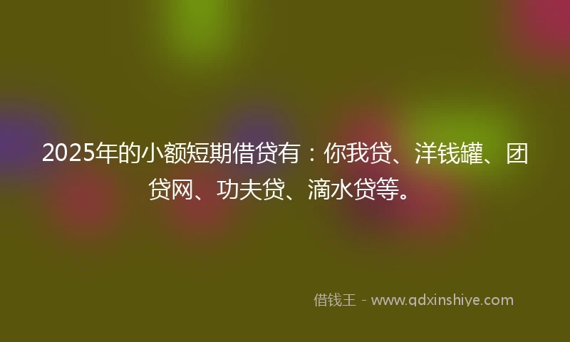 2025年的小额短期借贷有：你我贷、洋钱罐、团贷网、功夫贷、滴水贷等。