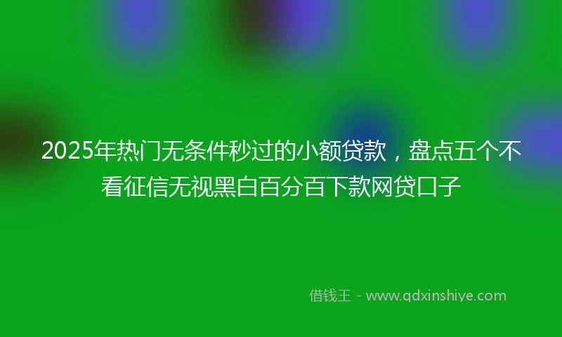 2025年热门无条件秒过的小额贷款，盘点五个不看征信无视黑白百分百下款网贷口子