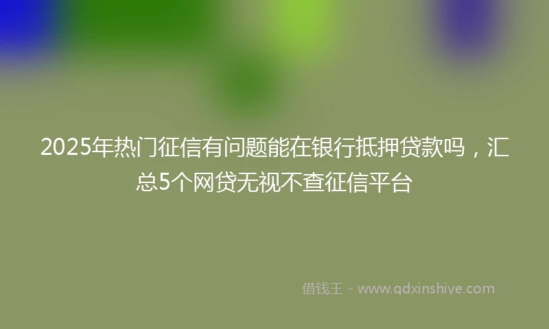 2025年热门征信有问题能在银行抵押贷款吗，汇总5个网贷无视不查征信平台