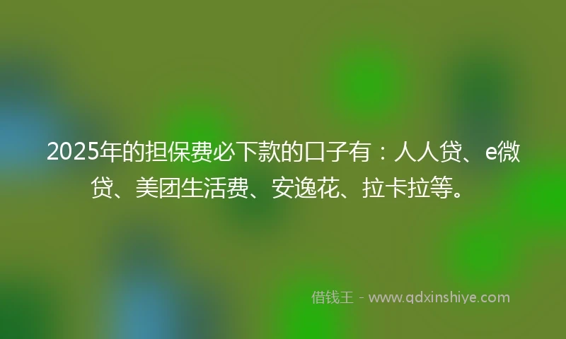 2025年的担保费必下款的口子有：人人贷、e微贷、美团生活费、安逸花、拉卡拉等。