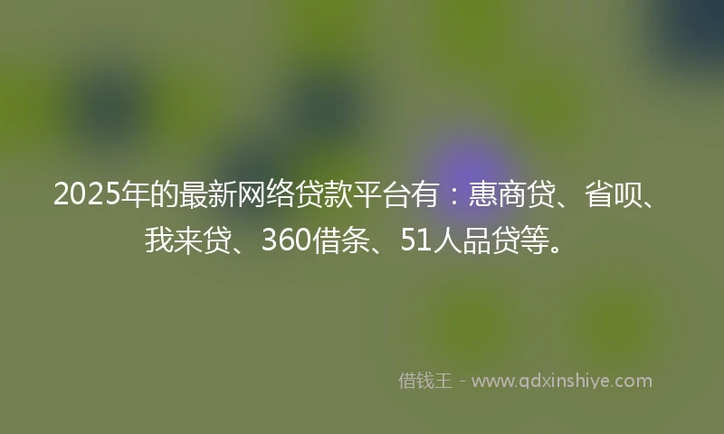 2025年的最新网络贷款平台有：惠商贷、省呗、我来贷、360借条、51人品贷等。