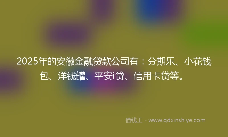 2025年的安徽金融贷款公司有：分期乐、小花钱包、洋钱罐、平安i贷、信用卡贷等。