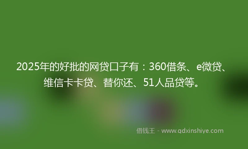 2025年的好批的网贷口子有：360借条、e微贷、维信卡卡贷、替你还、51人品贷等。