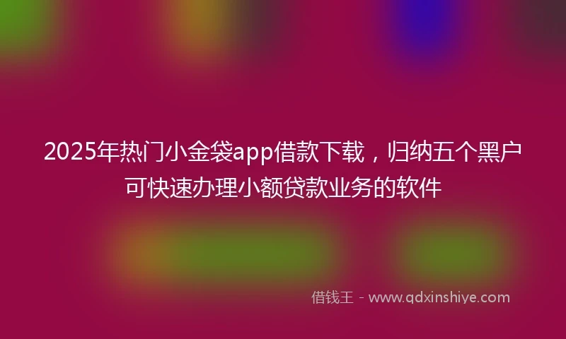 2025年热门小金袋app借款下载，归纳五个黑户可快速办理小额贷款业务的软件