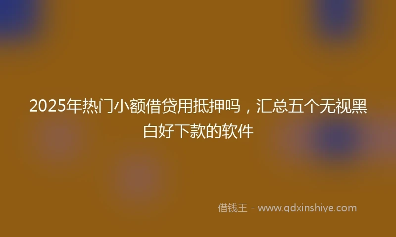 2025年热门小额借贷用抵押吗，汇总五个无视黑白好下款的软件